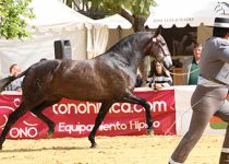 MAVILENA DAV DE Y. AC  CAMPEONA DEL CONCURSO