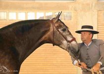 MAVILENA DAV DE YE. AC CAMPEONA DEL CONCURSO. PRESENTA MANUEL MIRAIME