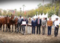 MEJOR CRIADOR SERVA 2016 YEGUADA ANDIC. RECOGE SU PROPIETARIO NACMAN ANDIC