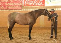 NORA SB PARADA4W5A6095
