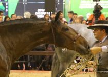 PRIMAVERA MZ DE MARIA ZARA PEREZ CAMPEONA JOVEN DEL MUNDO 2016