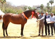 PRIMAVERA MZ DE Y. BATAN CAMPEONA JOVEN Y MEJORES MOVIMIENTOS JOVENES DEL CONCURSO
