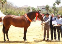 PRIMAVERA MZ DE Y. BATAN CAMPEONA JOVEN Y MEJORES MOVIMIENTOS JOVENES DEL CONCURSO