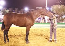 PRIMAVERA MZ ORO EN POTRAS DE DOS AÑOS CAMPEONA DE MOVIMIENTOS Y SUBCAMPEONA JOVEN