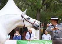 QUIETA AC DE Y. AC GUATEMALA ORO EN YEGUAS DE 4 ANOS