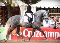 QUILATE DE LA ROSA MONTADO POR CARLA  JUDIT CAMPEON DEL CONCURSO