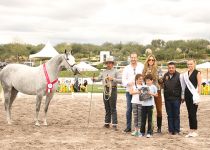 ROMANTICA LGD DE D. LUIS GONZALEZ DIEZ SUBCAMPEONA DEL CONCURSO