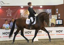 SEDUCTOR TORRELUNA DE Y. SAN NICOLAS MONTADO POR ANTONIO TEJERIZO. MEJOR FUNCIONALIDAD DEL CONCURSO