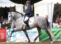 SIMPATICO DE MILLAN III MONTADO POR JOSE ALVAREZ SUBCAMPEON DEL CONCURSO