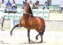 SIROCO DE TORRELUNA DE Y. SAN NICOLAS MEJORES MOVIMIENTOS CENTROAMERICANOS DEL CONCURSO