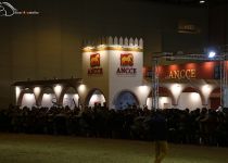 STAND DE ANCCE