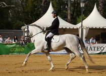 TESORO DE TORRELUNA MONTADO POR EMILIO ORDONEZ SUBCAMPEON ABSOLUTO DE FUNCIONALIDAD