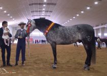 TRAGUS VDOS CAMPEON ABSOLUTO DE FUNCIONALIDAD Y SUBCAMPEON DEL CONCURSO