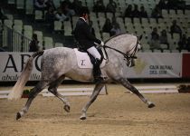 ULESV II DE FINCA LO TACON CAMPEON DEL MUNDO DE FUNCIONALIDAD. MONTA J. G. MENA