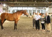 UREÑA RAM SUBCAMPEONA BATAN