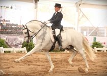 WEB AGUILA BLANCA DE RANCHO LA PERA CAMPEON ABSOLUTO DE FUNCIONALIDAD.  MONTA CATALINO GONZALEZ