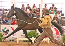 W RELICARIO MOR DE Y. LAS MORERIAS BRONCE EN SEMENTALES DE 5 Y 6 AÑOS