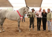 W ROMANTICA LGD DE Y. D. LUIS GONZALEZ DIEZ. SUBCAMPEONA JOVEN DEL CONCURSO