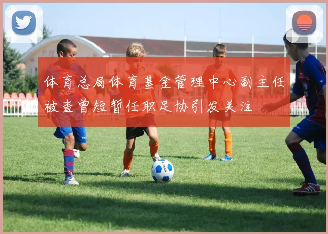 体育总局体育基金管理中心副主任被查曾短暂任职足协引发关注